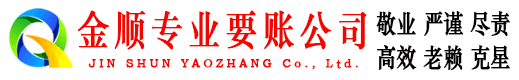 银海金顺追债公司